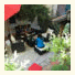 Hedonist Hostel: fotografie