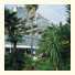 Hotel Plaža: fotografie