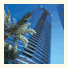 Oasis Beach Tower Apartments: fotografie