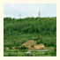 Nairi Rest House