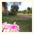 La Posada Rural