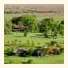 Estancia Rincón del Socorro