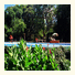 Estancia La Rosita