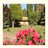 Posada Cavieres Wine Farm