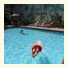 Hotel Nutibara: fotografie