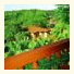 Pirayu Lodge Resort