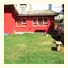 The House Hostel