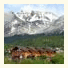 Aires del Beagle Apart Hotel: fotografie