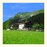 Kulinarik Hotel Alpin: fotografie