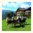 Gutzingerhof: fotografie