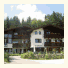 Hotel Waldfrieden: fotografie