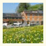 Hotel Krone Langenegg