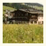 Hotel Lärchenhof: fotografie