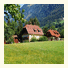 Klieber - Urlaub am Biobauernhof: fotografie