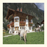 Landhaus Anja: fotografie