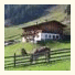 Urlaub auf der Alm: fotografie