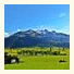Apartment Mountain View