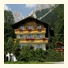 Alpenperle: fotografie