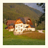 Alm.Gut - das Vital und Relaxhotel: fotografie