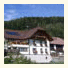 Dorfergut