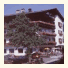 Pension Theresianna