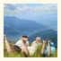 Penthouse in the heart of Zell am See