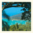 Airlie Beach Organic Guest House: fotografie