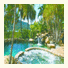 Best Western Colonial Palms: fotografie