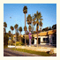 Dog Rock Motel
