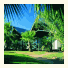 Desert Palms Resort: fotografie