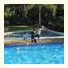 Kellys Beach Resort: fotografie