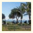 Coral Cove Resort: fotografie