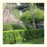Tree Tops Guest House