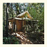 Byron Bay Rainforest Resort: fotografie