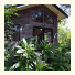 Planula Retreat