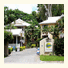 Palm Cove Tropic Apartments: fotografie
