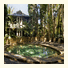 The Reef Retreat Palm Cove: fotografie