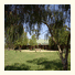 The Vineyard Motel
