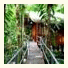 Daintree Wilderness Lodge