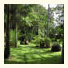 Lync Haven Rainforest Retreat