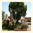 Forest Lodge Motor Inn & Restaurant