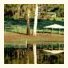 Diamond Forest Cottages