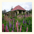 Hamlet Downs Country Accommodation