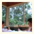 Harmony Forest Cottages
