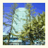 Mint Coolangatta - Ocean Plaza Resort