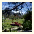 Cherry Blossom Bed & Breakfast