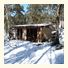Snowy Wilderness