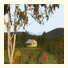 Barking Owl Retreat