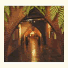 Cedar Park Rainforest Resort