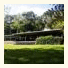 Chambers Wildlife Rainforest Lodges: fotografie